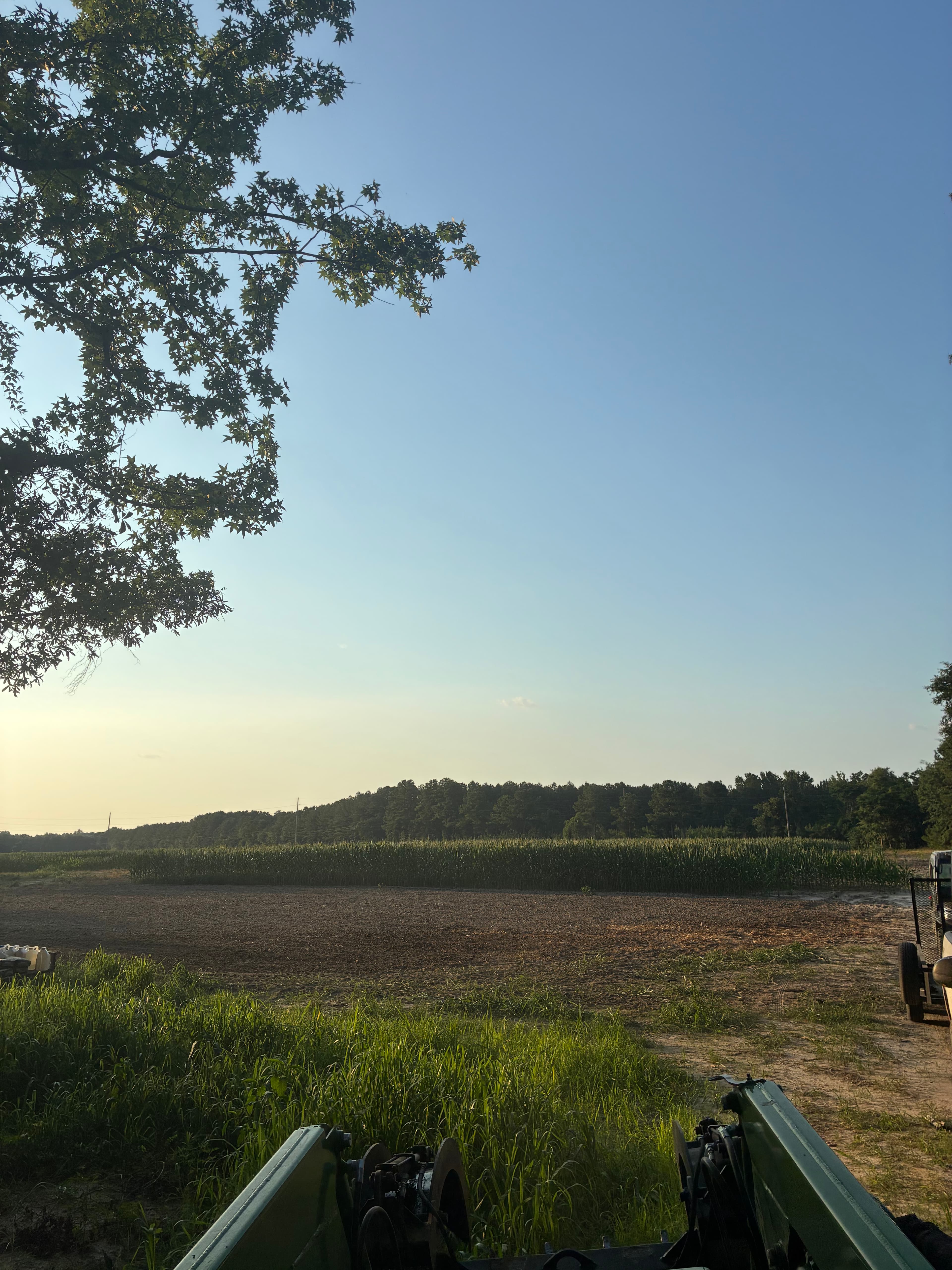 View from a tractor across a plowed field toward a cornfield and tree line.