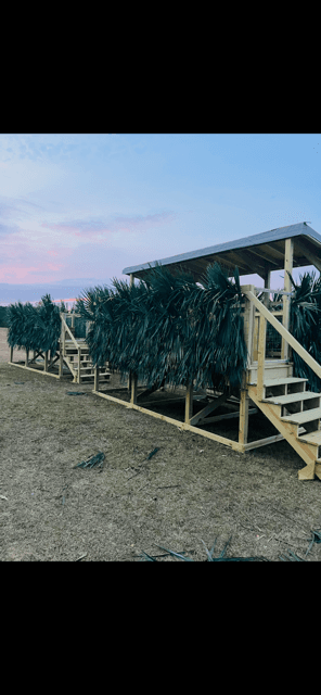 Two wooden hunting stands camouflaged with palm fronds in an open field at sunset.